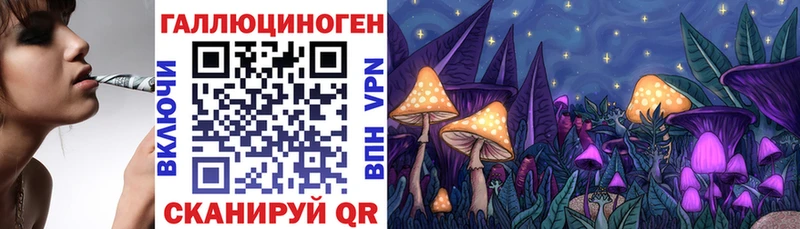 как найти закладки  Нарткала  Галлюциногенные грибы GOLDEN TEACHER 